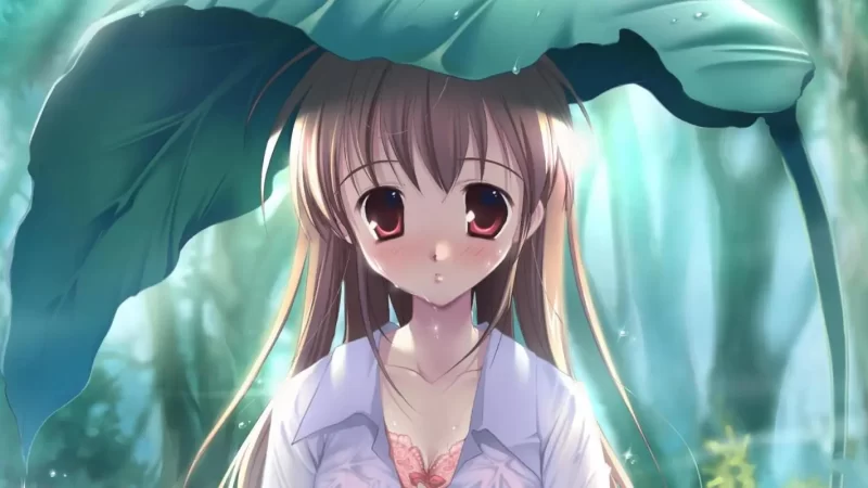 使用Adobe Firefly AI人工智能转变您的图像创造力教程-18节课-中英字幕网赚项目-副业赚钱-互联网创业-资源整合歪妹网赚